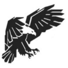 KnightHawk Protection LLC logo