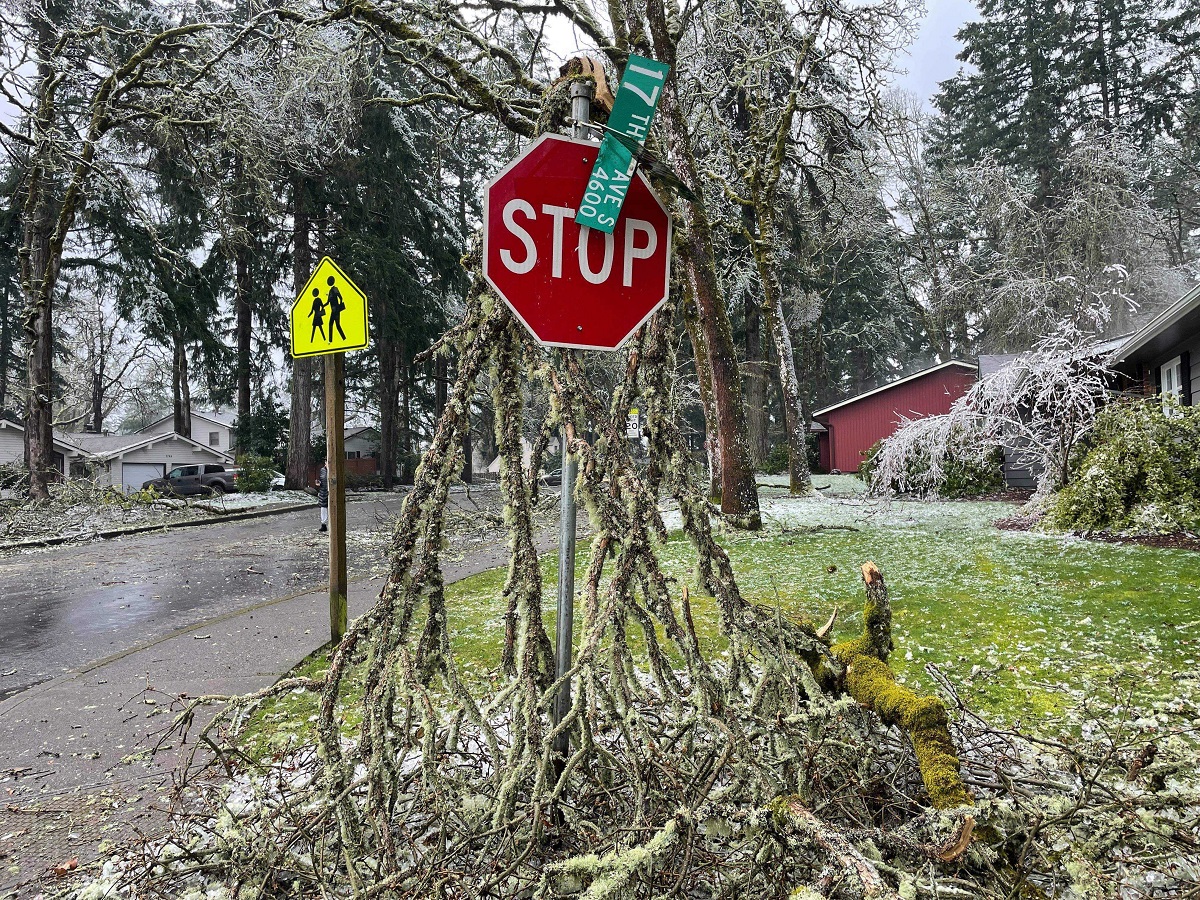 Ice Storm