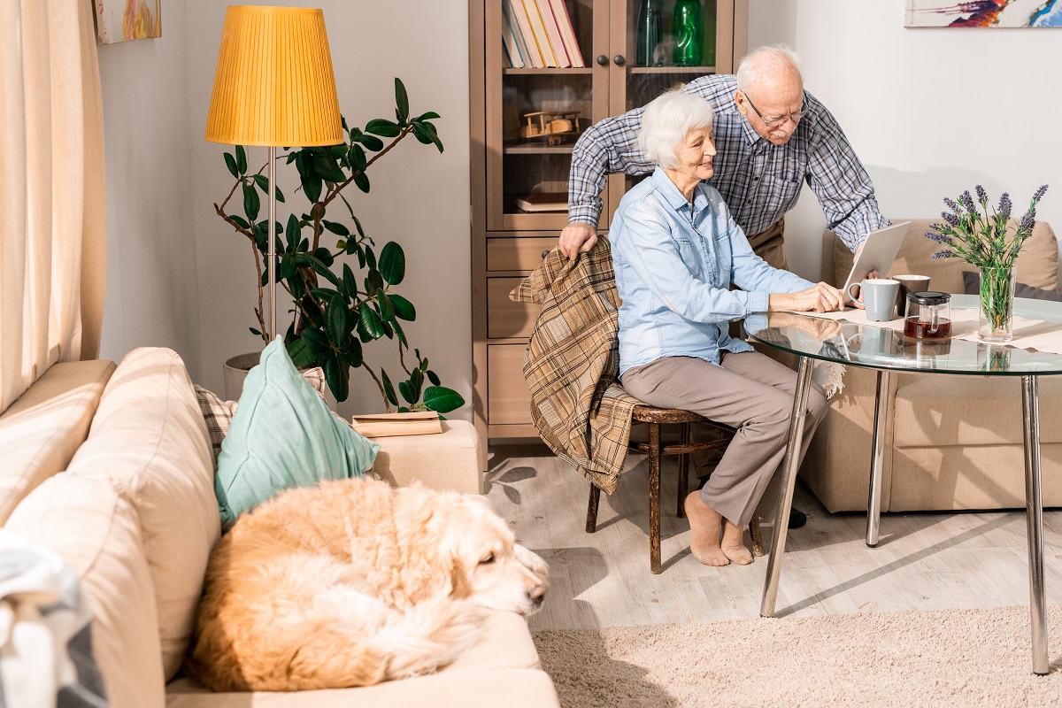 Happy Elderly Couple at Home