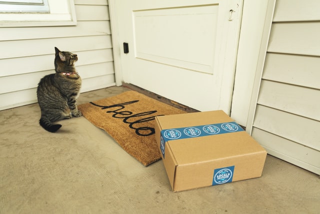 a cat and a package at a door