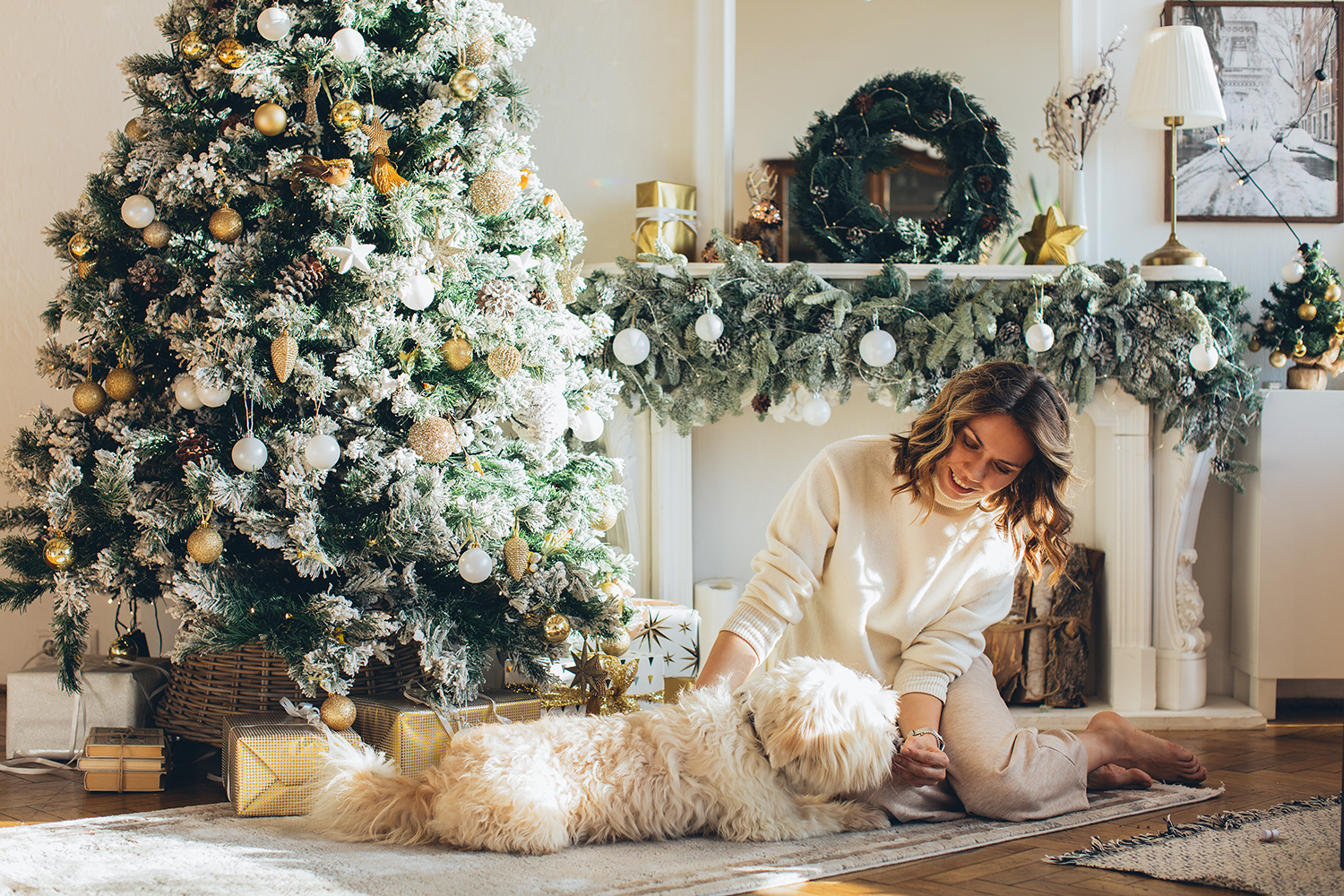 Home Safety During Christmas Green Acres