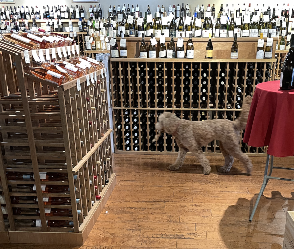 Bexley on duty at Great Grapes