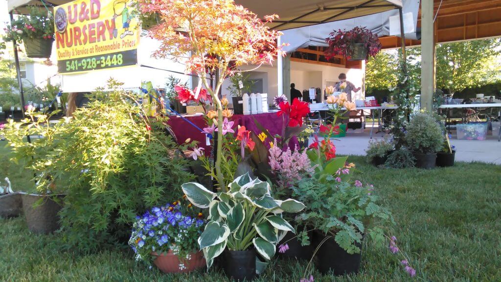 U & D Trucking & Nursery, Inc Albany OR