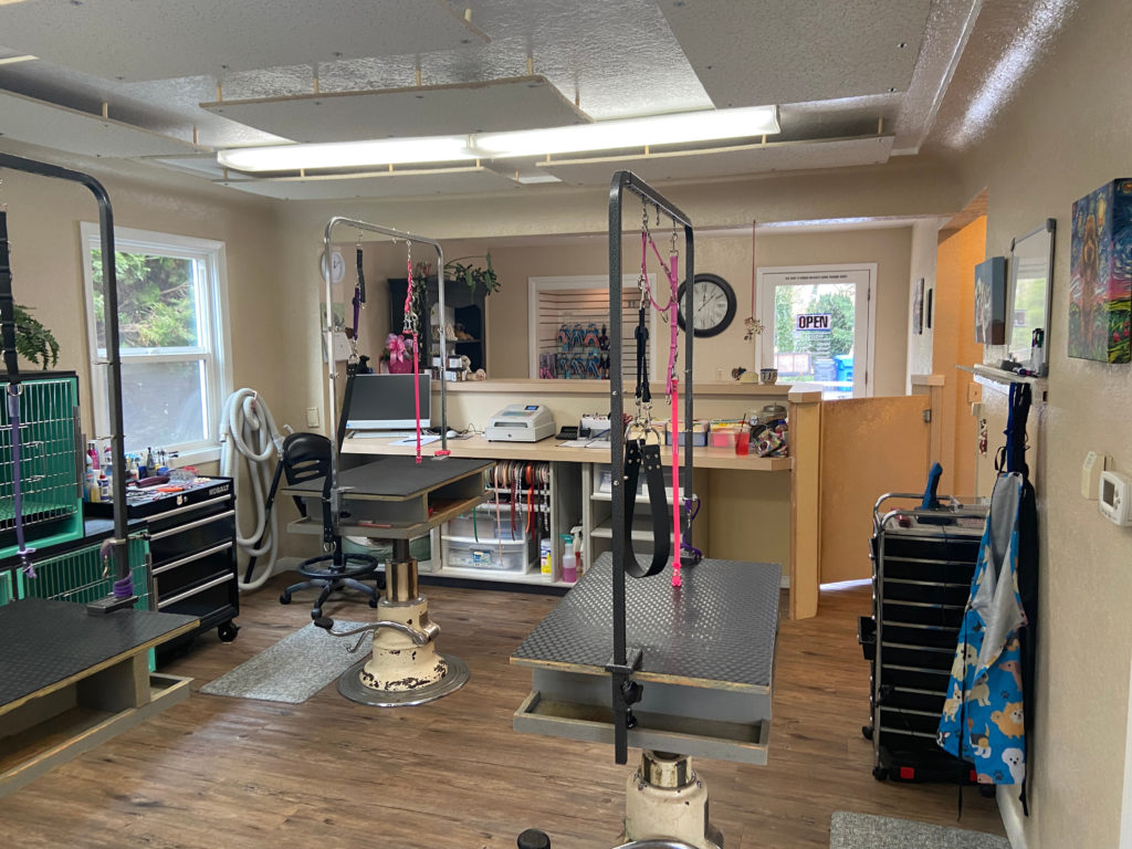 picture of grooming area for D & J Dog Grooming - two stations, kennels windows and door with natural light, wood floors, ribbon rack and more.