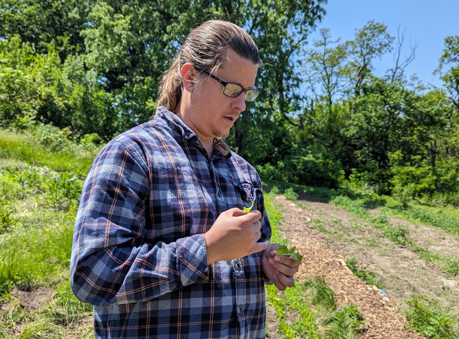 Man looking in downward direction with plant sprout in his hand