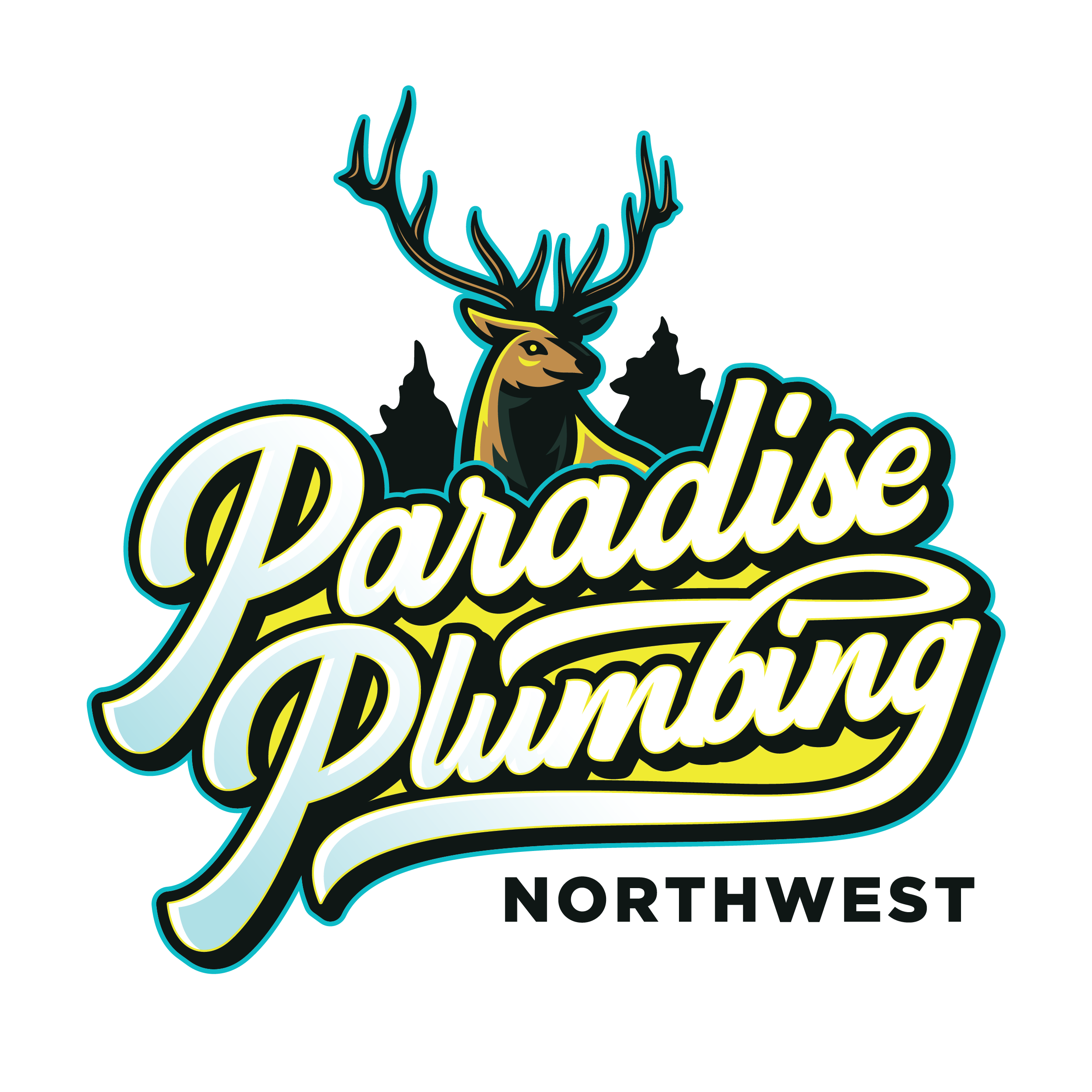 Paradise Plumbing Northwest LLC logo