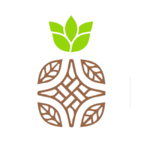 Siro Home Tobago logo