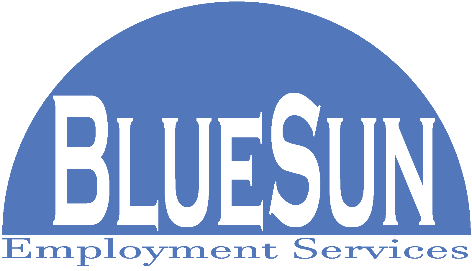 BlueSun, Inc. logo