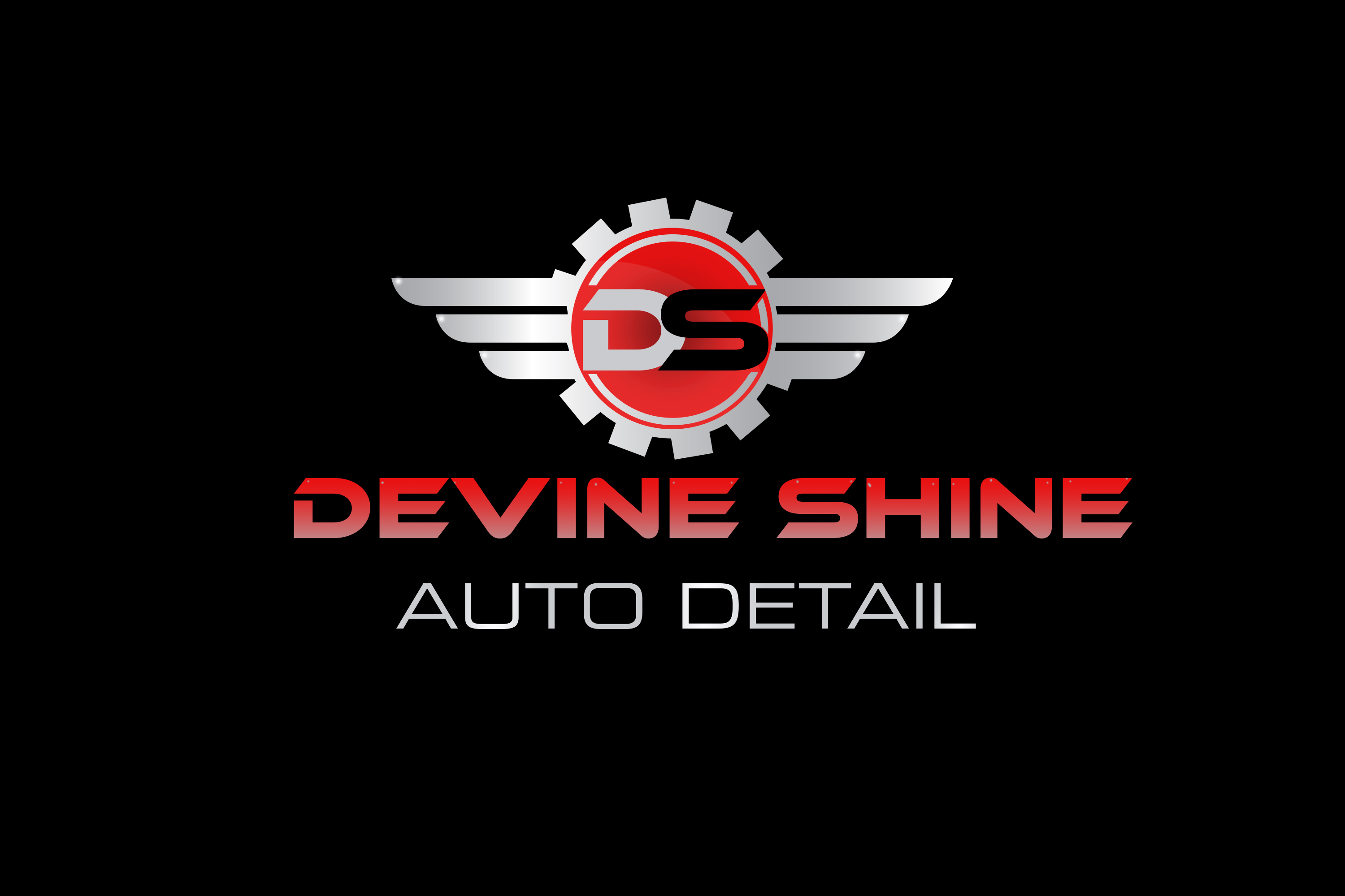 Devine Shine Auto Detail, LLC logo