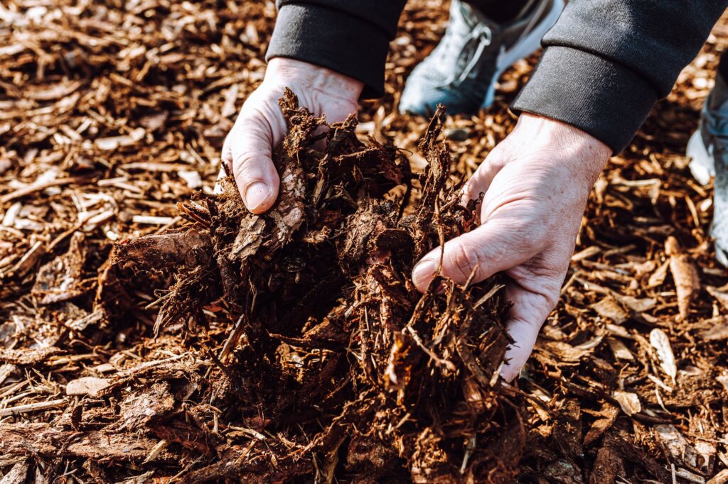 Mulch