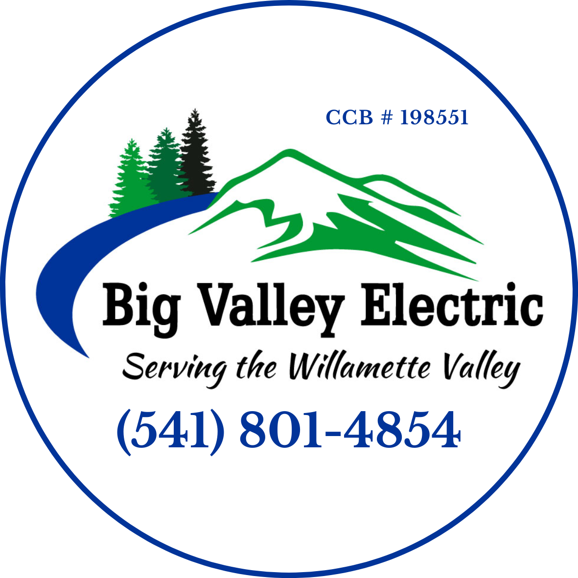 Big Valley Electric, LLC logo